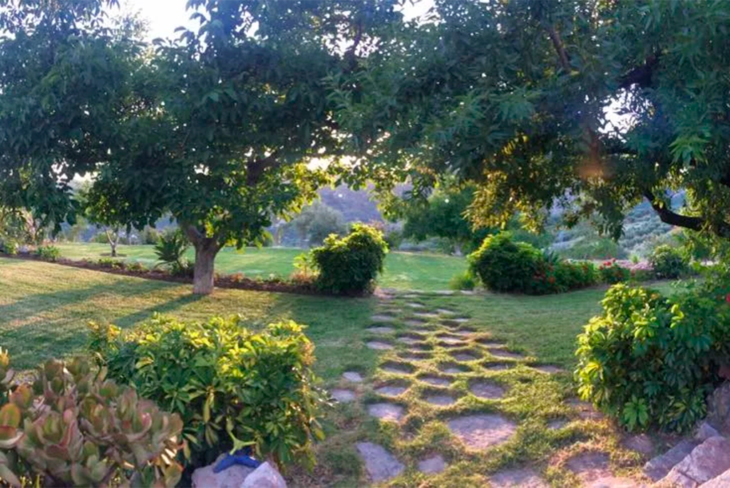 camino de Cortijo-Las-Monjas 
